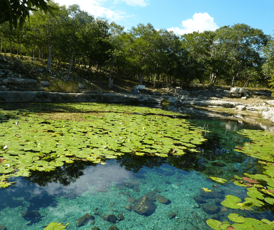 cenote maya in yucatan 